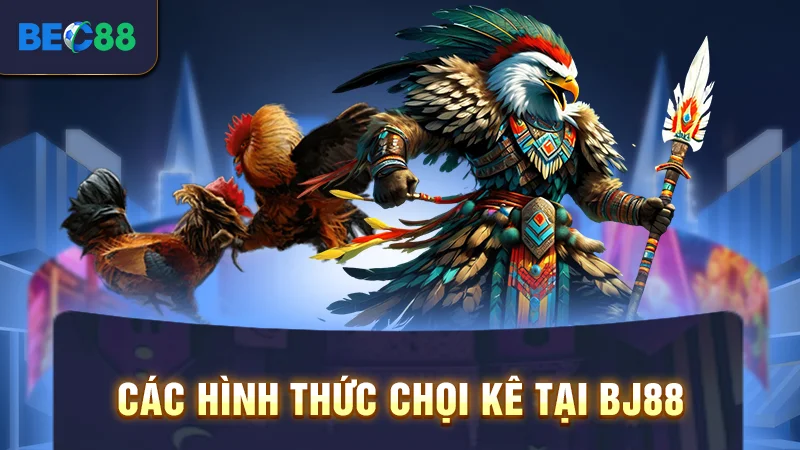 Các hình thức chọi kê tại BJ88