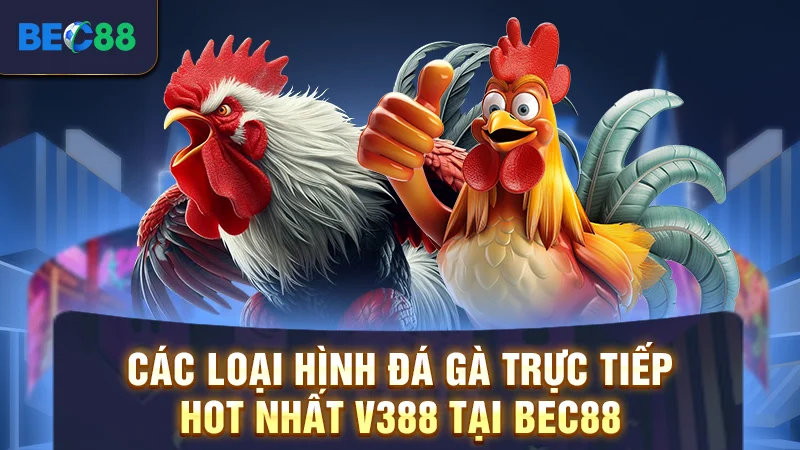 V388 Trực Tiếp Đá Gà Full Hd Đặt Cược Mọi Lúc Mọi Nơi 3 Các loại hình đá gà trực tiếp hot nhất V388 tại BEC88
