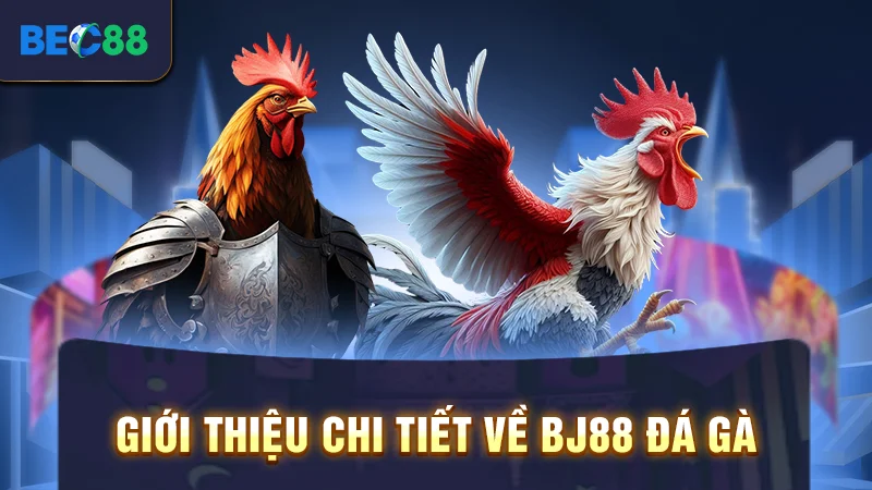 Giới thiệu chi tiết về BJ88 đá gà