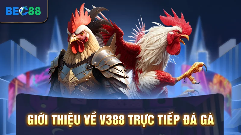 V388 Trực Tiếp Đá Gà Full Hd Đặt Cược Mọi Lúc Mọi Nơi 1 Giới thiệu về V388 trực tiếp đá gà