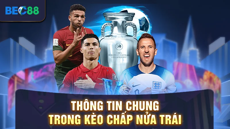 Thông tin chung trong kèo chấp nửa trái