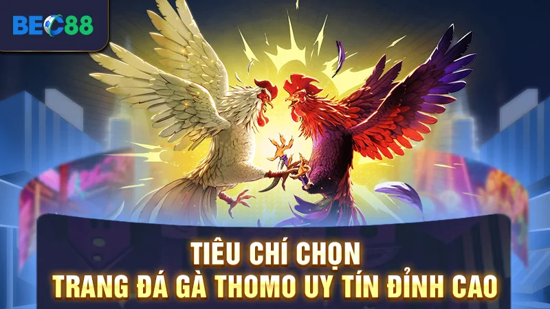 Trang Đá Gà Thomo Uy Tín - Những Địa Chỉ Cá Cược Xanh Chín 2 Tiêu chí chọn trang đá gà Thomo uy tín đỉnh cao