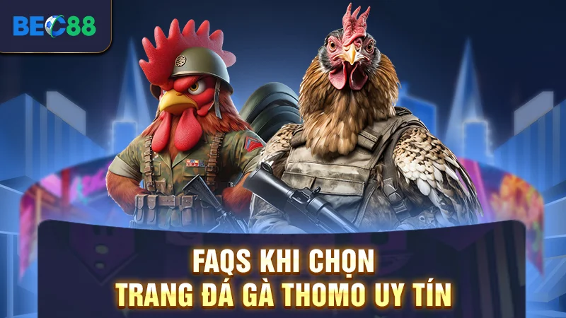 Trang Đá Gà Thomo Uy Tín - Những Địa Chỉ Cá Cược Xanh Chín 3 FAQs khi chọn trang đá gà Thomo uy tín