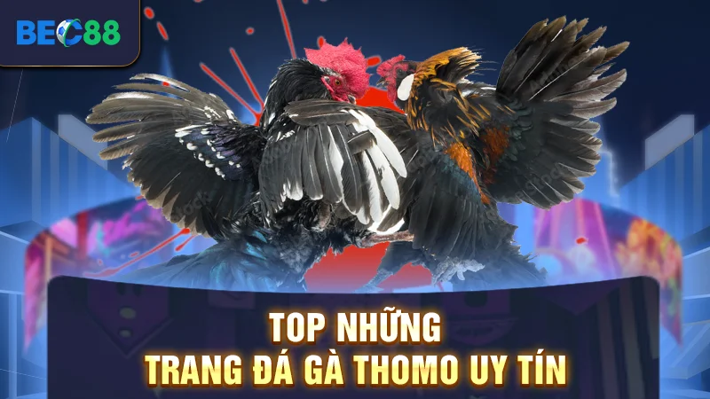 Trang Đá Gà Thomo Uy Tín - Những Địa Chỉ Cá Cược Xanh Chín 1 Top những trang đá gà Thomo uy tín