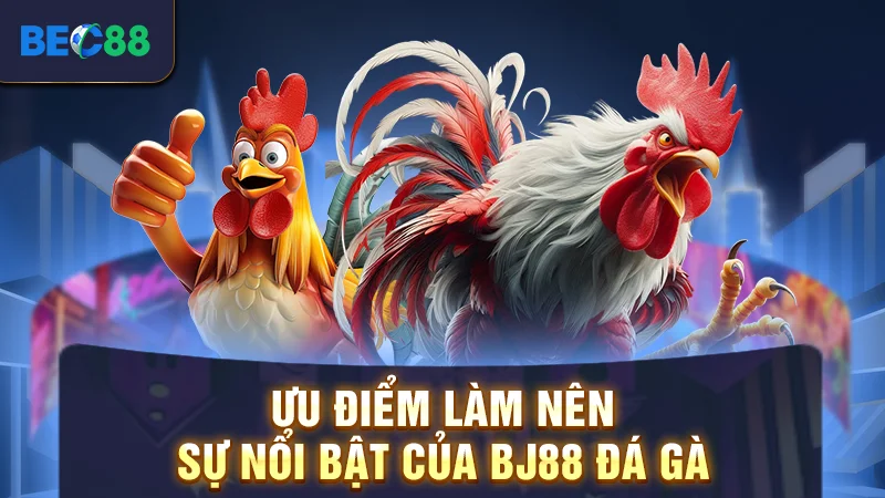 Ưu điểm làm nên sự nổi bật của BJ88 đá gà